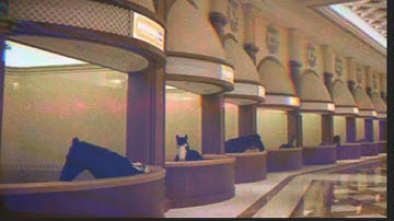 LOSTWAVE Mix. Vol 2: 𝐏𝐚𝐫𝐚𝐧𝐨𝐢𝐚