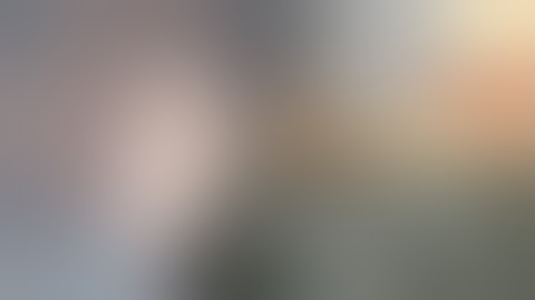 IOL explantation techniques- the Bisection , The Trisection and the Semisection techniques explained