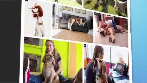 Getting started with Premium Access: How to Log in and start a search (1 of 10)