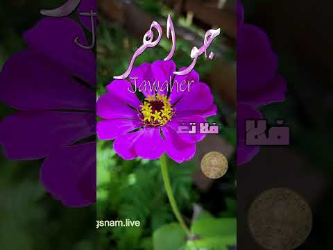ابيات شعر باسم جواهر
