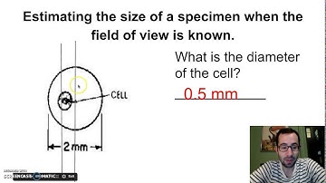 Microscopes and Field of View (Part 2)