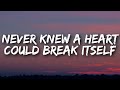 Zach Hood - never knew a heart could break itself (Lyrics) Acoustic Version