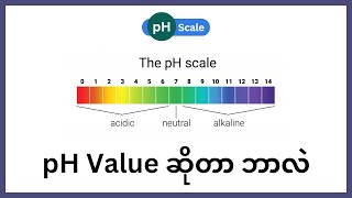 pH Value ဆိုတာ ဘာလဲ ၊ ရေကို ကြိုချက်လိုက်ရင် pH 7 ဟုတ်သေးရဲ့လား