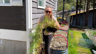 Sod Removal and Wildflower Planting