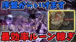 【ELDEN RING】序盤から最効率ルーン稼ぎ!!「モーグウィン王朝」へ行く方法