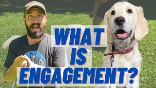 MUST WATCH If You Have A PUPPY! Dog Training 101!