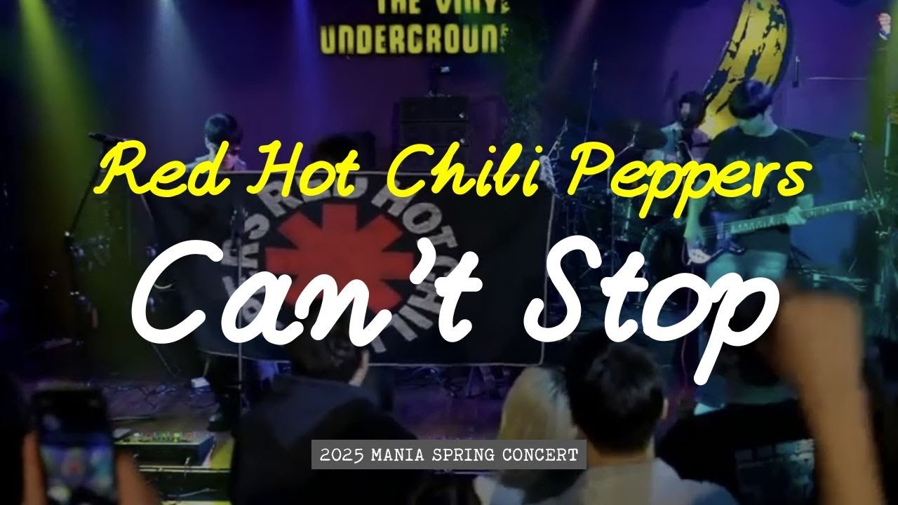 Red Hot Chili Peppers - Can't Stop [Cover] - YouTube