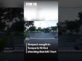 Tempe In-N-Out shooting leaves one injured after fight breaks out | FOX 10 Phoenix