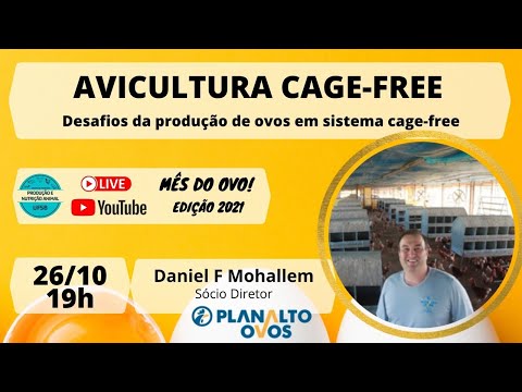 Vídeo: Tesco ama a revisão do termômetro do banho do bebê e do quarto