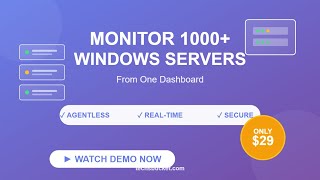 Windows Server Disk Monitor - Agentless Monitoring For 1000 Servers