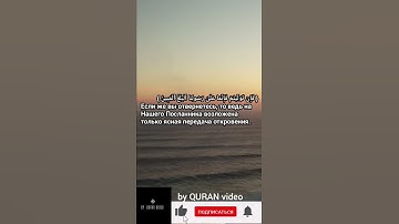 Сура 64 тагабун аяты 11:13 чтец  раад Мухаммад Аль курди #quranvideo #коран