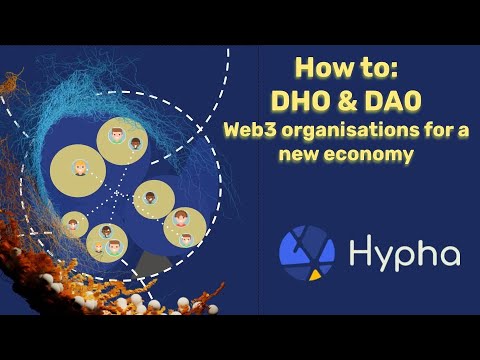 How to do a DHO/DAO: Guide for groups building new paradigm organizations