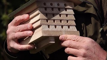How to Guide with Simon King: Solitary Bee Hive
