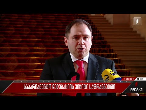 საპარლამენტო დელეგაციის ვიზიტი საფრანგეთში