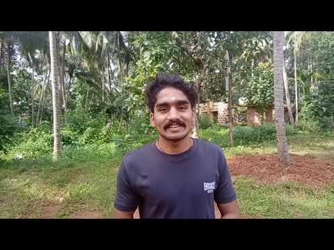 Video: Kalaripayattu - Kampen Presentert Av Shiva - Alternativt Syn