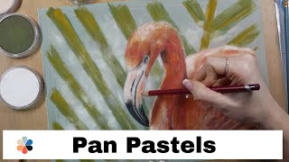 Pan Pastel and Pastel Pencils - Flamingo