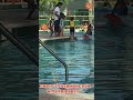 Summer Fun I My Pool Day