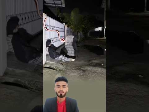 نامت بهدوء وفجأة بدا كأن ظل ا خفيف ا ينسحب من جوارها اكسبلور لايك دويتو  