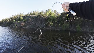 Lyckad fiskehelg efter regnbåge vid Gömmaren!