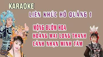 Karaoke | Liên Khúc Hồ Quảng 1 | Hồi Tưởng, Hoàng Mai Long Thanh, Cánh Nhạn Minh Tâm