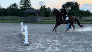 Nicole Minnolera - 2025 RRP Application - 2’6”+ Jumping Video