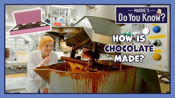 How is Chocolate made? 🍫 Maddie