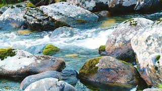 Белый Шум Горной реки.Beautiful Mountain River Flowing Sound. Forest River Relaxing Nature Sounds