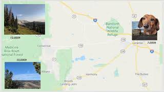 Regression with Categorical Variables with More Than Two Levels