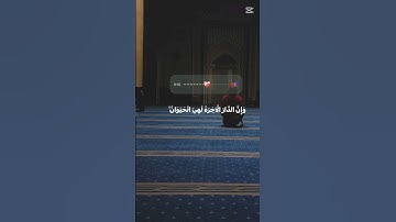 #اكسبلور #المصحف #قرآن كريم #ياسر الدوسري #راحه نفسيه#تلاوه خاشعه#تلاوه مريحه#🎀😇