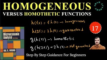 Difference Between Homogeneous and Homothetic Functions