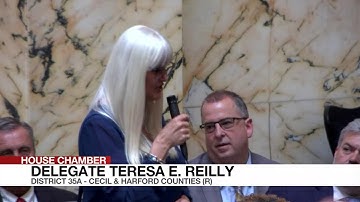 House Floor Session, 4/4/2025 #1