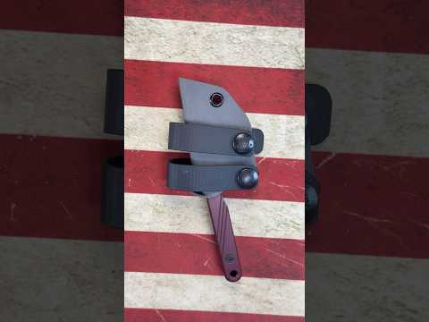 Carry Development- Hydra.