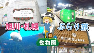 【旭川・札幌ぶらり旅】旭山動物園・もいわ山ロープウェイへ突撃！北海道の観光スポットを紹介！【ゆっくり旅行】北海道観光地巡り一人旅part4