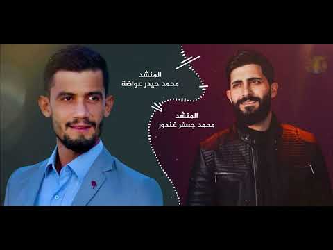 محمد حيدر عواضة محمد جعفر غندور