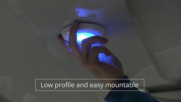 Aurora LED Dome Light