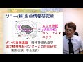 心理学3.4 あなたの子どもの画期的な能力開発方法