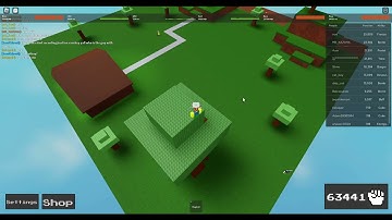 cat_boy6055 ability wars hacker anti void