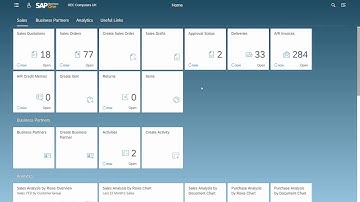 Web Client   Overview in SAP Business One 10 0, version for SAP HANA
