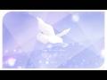 Lucia 2nd mini Album「 鳩に乗せて 」【XFD】