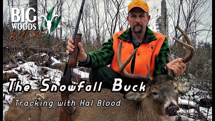 The Snowfall Buck: A Thrilling Hunt in Ontario
