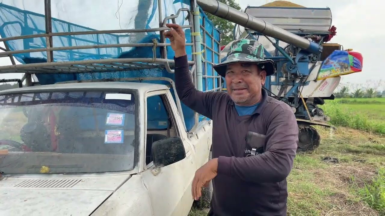 15 ต.ค 65 กข.79 นาลุงหนอง 9 ไร่ 10 เกวียนราคา 7800