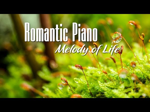 Romantic Piano - Nhạc Piano Không Lời Lãng Mạn Hay Nhất Thế Giới / Giai Điệu Cuộc Sống class=
