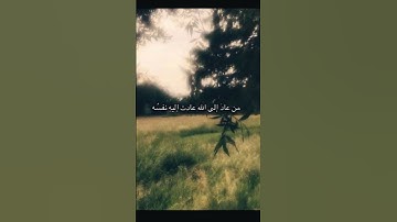 من عاد إلى الله عادت إليه نفسه😔❤️‍🩹 #سورة_آل_عمران#قرآن#محمد_صديق_المنشاوي #قران_بصوت_جميل #المنشاوي