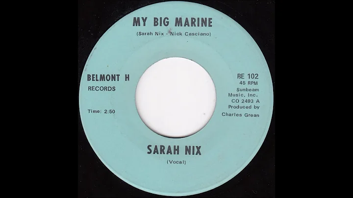 Sarah Nix - My Big Marine