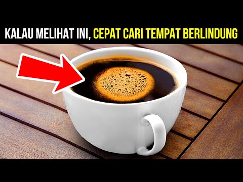 Video: Kenapa Anjing Berjalan Dalam Lingkaran Sebelum Dibaringkan?