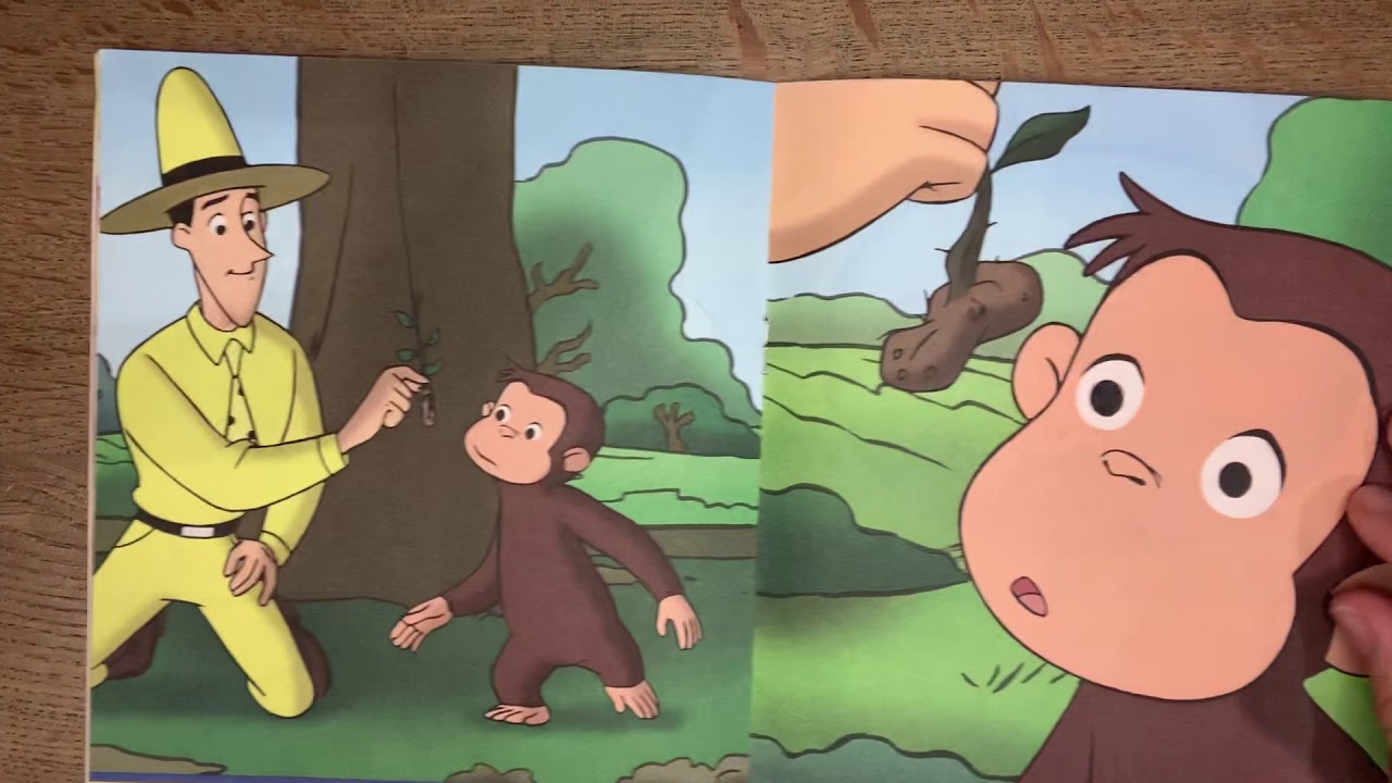 Curious Plants a Seed YouTube