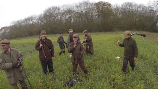 Rough Walked Up Game Shooting for Pheasants and Woodcock with Spaniels