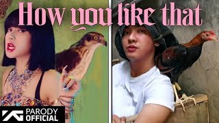 BLACKPINK WITH LOW BUDGET! (How You Like That Parody) by Amigo Marwel