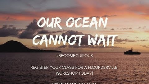 Marine Protected Areas:  Why Should We Save the Seas?