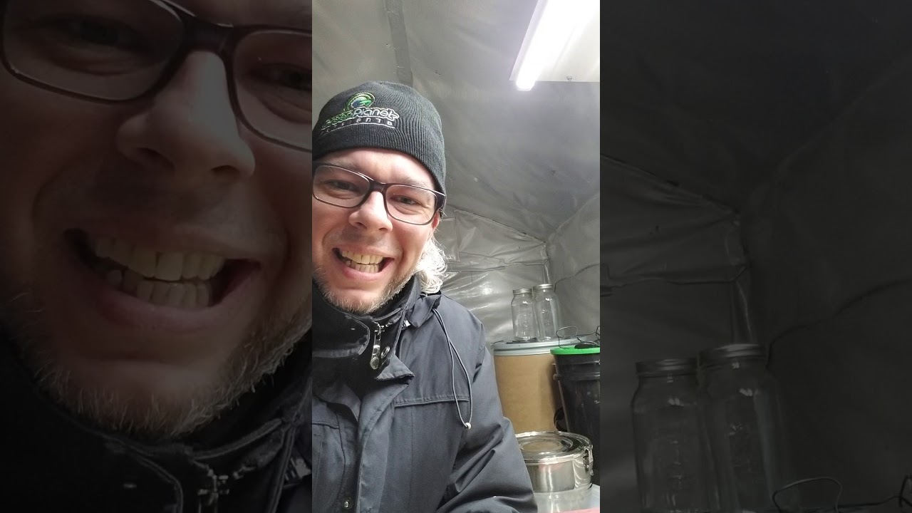 cannabis - can it be too dry?